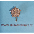Miniatura - Klopový odznak Čs partyzán na jehlu - těžký typ neznačen - pr. 15mm
