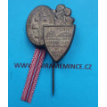Odznak - Manifestační sjezd dobrovolců let 1918-19 - z roku 1938 - bronzový - zapichovací jehlice