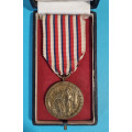 Pamětní medaile Manifestačního sjezdu dobrovolců let 1918-19 v etui - varianta drátěné ouško, světlá