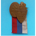 Odznak - Manifestační sjezd dobrovolců let 1918-19 - z roku 1938 - bronzový - upínací spona