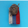 Knoflíkový odznak - Pluky Stráže svobody - Sokolské prapory a setniny 1918-19 - bronzové barvy