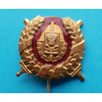 Miniatura Odznak Národních gard pro členy útočných oddílů