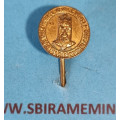 Miniatura - odznak - Zlatá záslužná služební medaile NSG za XXX. let služby 1945-1949 - zlatá