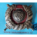 Odznak pro příslušníky historických jednotek při Národních gardách s legionářským znakem - NG - smalt - stříbrný