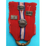 Československá revoluční medaile -  s podpisem AB - vydání z let 1920-1938 - Ruské legie - štítky  „4“ , „6“ „10“ a lipový lístek - var. těžká tmavá