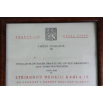 Dekret : „ Stříbrná medaile - Za věrnost a branné zásluhy vlasti “ udělen SB 1949