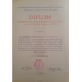 Dekret - Pamětní medaile Manifestačního sjezdu dobrovolců let 1918-19
