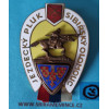 Odznak 2. Jezdecký pluk "Sibiřský" - bronz - vzácné