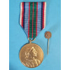 Pamětní medaile 21. střeleckého pluku Terronského s miniaturou