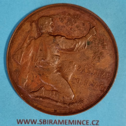 ČSR - AE Medaile 1895 - Národopisná výstava Československá v Praze, krásná - Br
