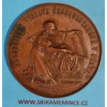 ČSR - AE Medaile 1895 - Národopisná výstava Československá v Praze, krásná - Br