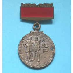 BSP - odznak - bronzový stupeň